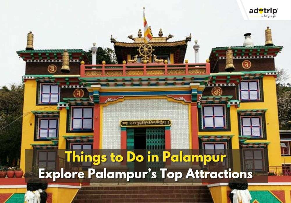 Best Things to Do in Palampur